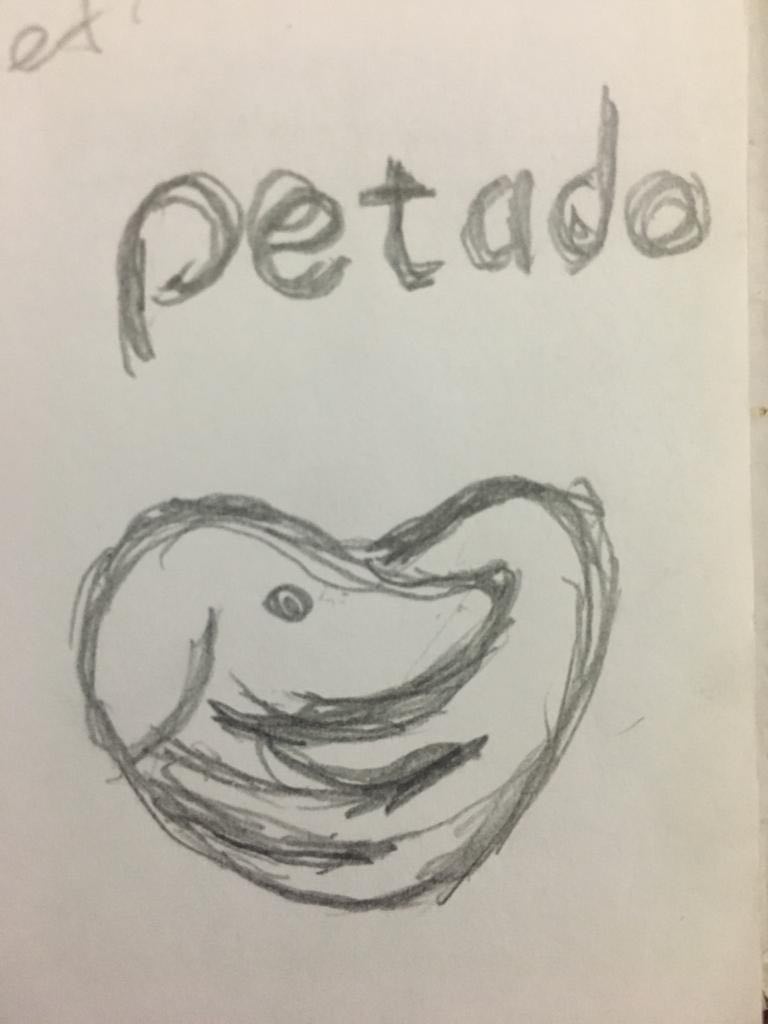 Petado - App Logo Sketch