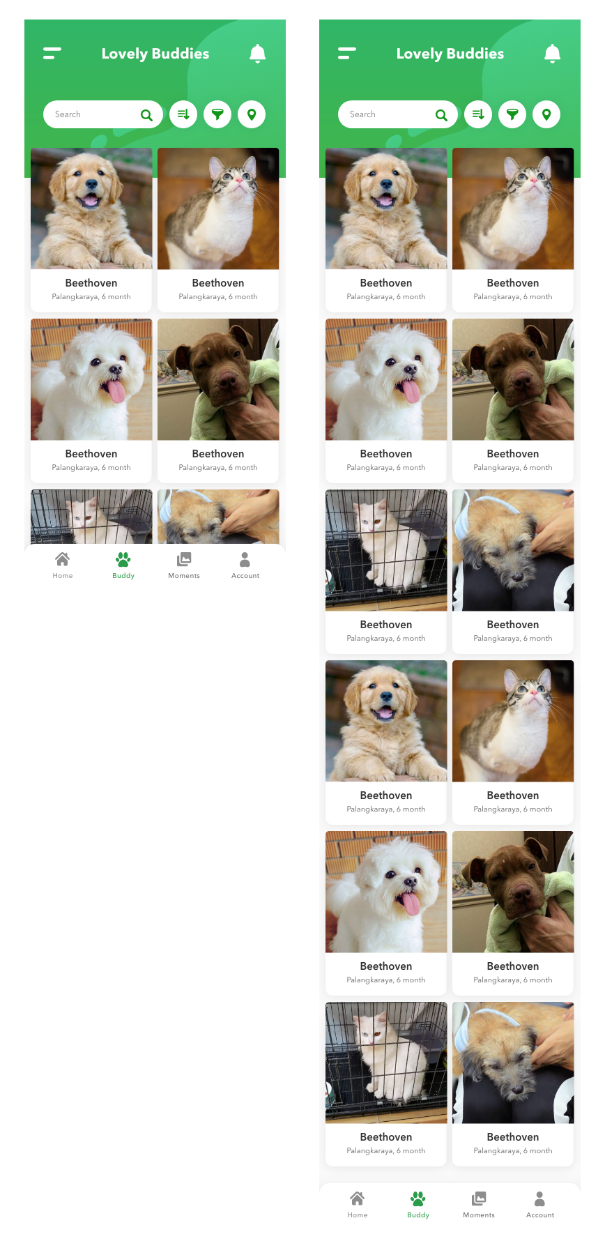 List of Pets
