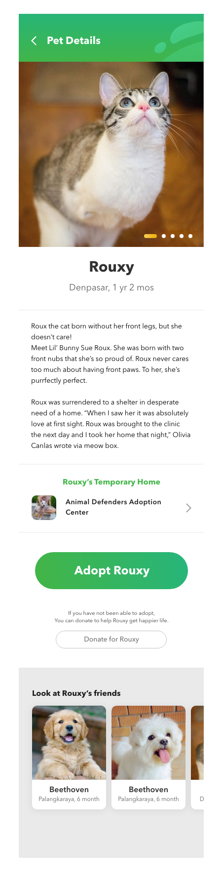 Pet Details
