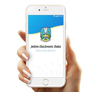 Jatim Electronic Data Icons